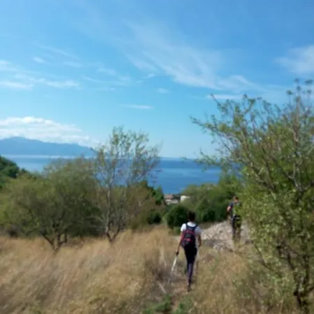 Apartment Dubravka Gradac (Split-Dalmatia)