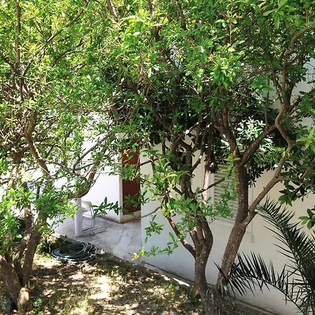Dubravka * Gradac (Split-Dalmatia)