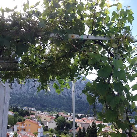 Apartment Dubravka Gradac (Split-Dalmatia)